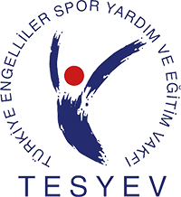 TESYEV bursu